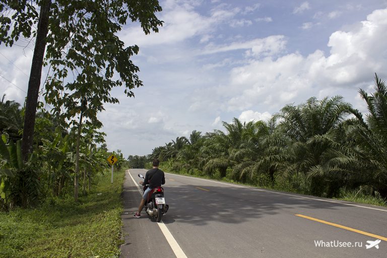 Национальный парк Као Сок Таиланд