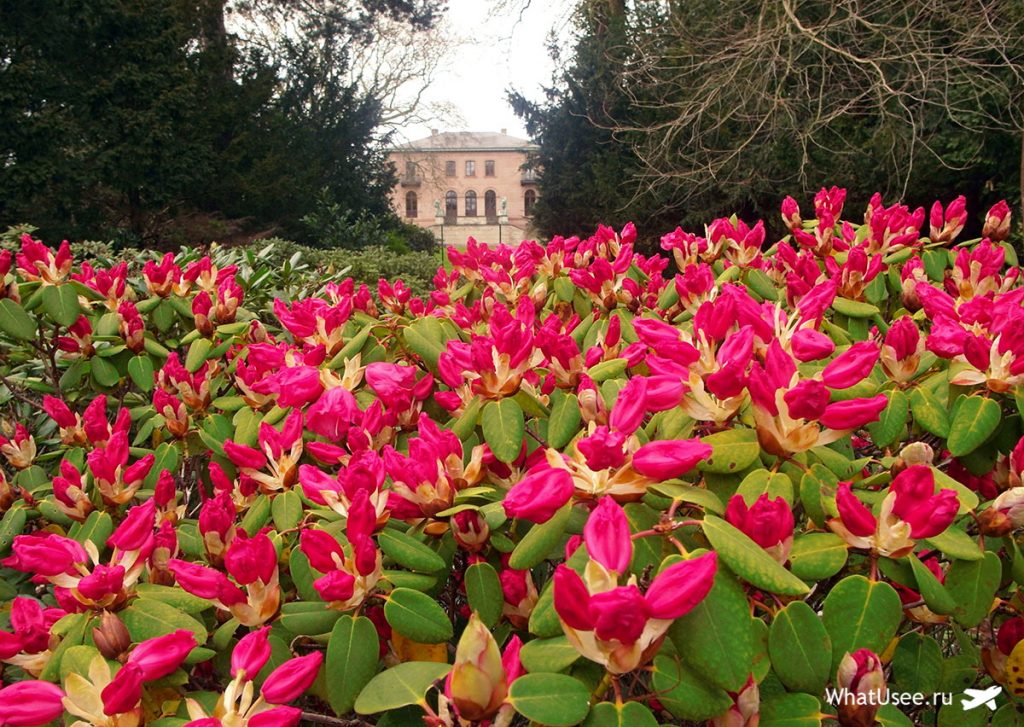 Отзыв о посещении пивоварни Карлсберг в Копенгагене