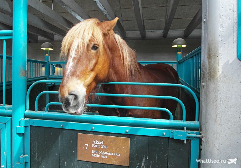 Экскурсия на завод Карлсберг