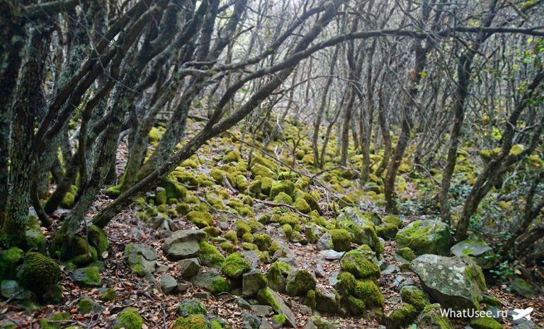 Водопад Каледония